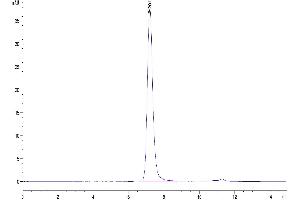 The purity of Biotinylated Human Serum Albumin is greater than 95 % as determined by SEC-HPLC. (Albumin Protein (ALB) (AA 25-609) (His-Avi Tag,Biotin))