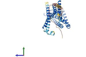 AlphaFold protein structure predicition of Mouse Recombinant Nipa2 Protein, UniprotID Q9JJC8 (NIPA2 Protein (AA 1-359) (His tag))