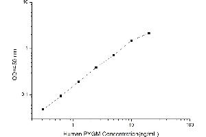 Typical standard curve (PYGM ELISA Kit)