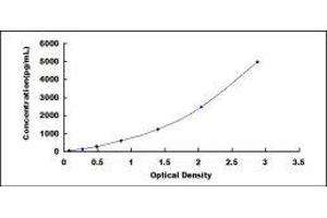 ELISA image for Glial Cell Line Derived Neurotrophic Factor (GDNF) ELISA Kit (ABIN416076)