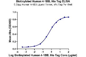 ELISA image for Tumor Necrosis Factor Receptor Superfamily, Member 9 (TNFRSF9) (AA 24-186) protein (His-Avi Tag,Biotin) (ABIN7273923)