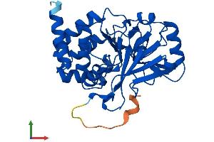 Protein Structure (PS) image for Protein Phosphatase 2, Catalytic Subunit, beta Isozyme (PPP2CB) (AA 1-309) protein (His tag) (ABIN7556613)