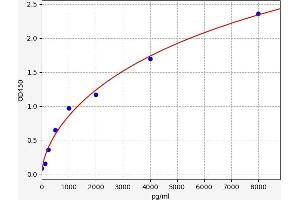 Typical standard curve (Claudin 7 ELISA Kit)