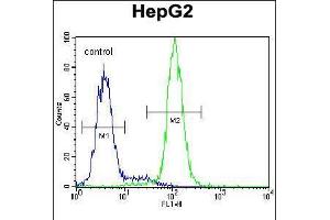Flow cytometric analysis of HepG2 cells (right histogram) compared to a negative control cell (left histogram). (CST9 antibody  (C-Term))
