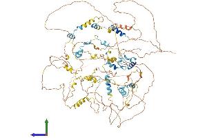 AlphaFold protein structure predicition of Mouse Recombinant Eif4enif1 Protein, UniprotID Q9EST3 (EIF4ENIF1 Protein (AA 1-983) (His tag))