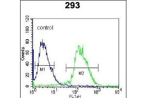 DUSP3 Antibody (C-term) (ABIN392859 and ABIN2842277) flow cytometric analysis of 293 cells (right histogram) compared to a negative control cell (left histogram). (Dual Specificity Phosphatase 3 (DUSP3) (AA 157-185), (C-Term) antibody)