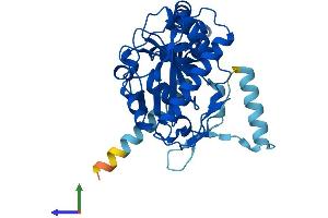 AlphaFold protein structure predicition of Human Recombinant DGAT2L6 Protein, UniprotID Q6ZPD8 (DGAT2L6 Protein (AA 1-337) (His tag))