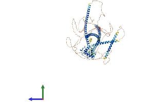 Protein Structure (PS) image for Sperm Antigen with Calponin Homology and Coiled-Coil Domains 1 (SPECC1) (AA 1-1068) protein (His tag) (ABIN7553605)