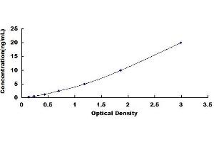 Typical standard curve