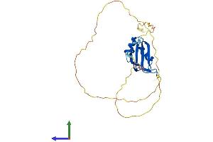 AlphaFold protein structure predicition of Mouse Recombinant Rbm38 Protein, UniprotID Q62176 (RBM38 Protein (AA 1-237) (His tag))