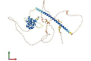 AlphaFold protein structure predicition of Human Recombinant HSF2 Protein, UniprotID Q03933
