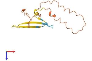 Protein Structure (PS) image for Zinc Finger Protein 815, Pseudogene (ZNF815P) (AA 1-130) protein (His tag) (ABIN7545404)