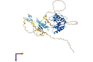 AlphaFold protein structure predicition of Human Recombinant LENG9 Protein, UniprotID Q96B70 (LENG9 Protein (AA 1-501) (His tag))