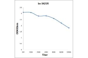 Antigen: 0. (ARAF antibody  (pTyr301, pTyr302))