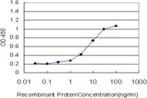 Detection limit for recombinant GST tagged FABP4 is approximately 0. (FABP4 antibody  (AA 1-132))