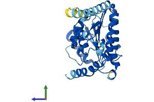 Protein Structure (PS) image for Hydroxysteroid (17-Beta) Dehydrogenase 3 (HSD17B3) (AA 1-305) protein (His tag) (ABIN7556711)