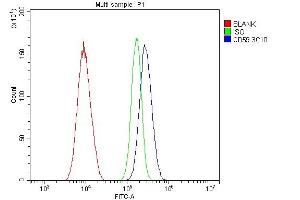Flow Cytometry analysis of A549 cells using anti- CD59 antibody (ABIN7600941). (CD59 antibody  (AA 26-102))