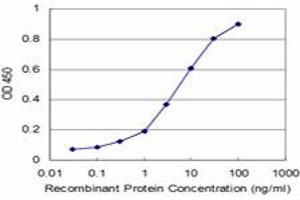 Detection limit for recombinant GST tagged MPHOSPH10 is approximately 0. (MPHOSPH10 antibody  (AA 348-457))