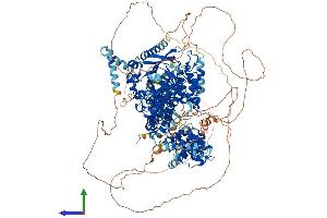 Protein Structure (PS) image for Lysine (K)-Specific Demethylase 6A (KDM6A) (AA 1-1401) protein (His tag) (ABIN7554329)