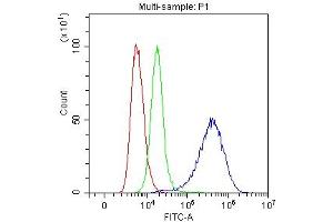 Flow Cytometry analysis of SiHa cells using anti-Mesothelin antibody (ABIN3043459). (Mesothelin antibody  (AA 306-576))