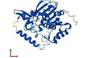 Protein Structure (PS) image for serine Hydrolase-Like (SERHL) (AA 1-311) protein (His tag) (ABIN7561378)