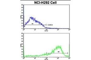 Flow Cytometry (FACS) image for anti-Interferon gamma Receptor 2 (Interferon gamma Transducer 1) (IFNGR2) (AA 308-337), (C-Term) antibody (ABIN652277)