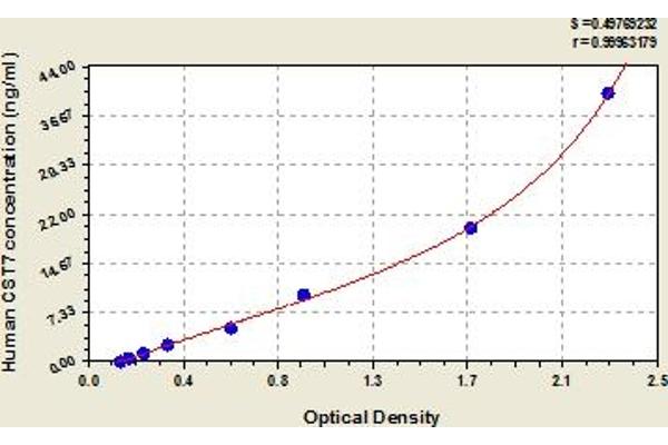 CST7 ELISA Kit