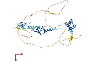 LHX3 Protein (AA 1-400) (His tag)