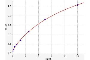 Typical standard curve (CASR ELISA Kit)
