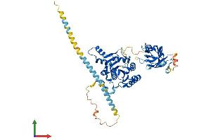AlphaFold protein structure predicition of Mouse Recombinant Mgat4b Protein, UniprotID Q812F8 (MGAT4B Protein (AA 1-548) (His tag))