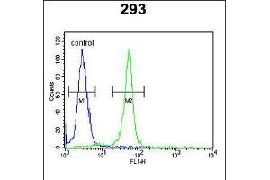 Flow cytometric analysis of 293 cells (right histogram) compared to a negative control cell (left histogram). (RRS1 antibody  (C-Term))