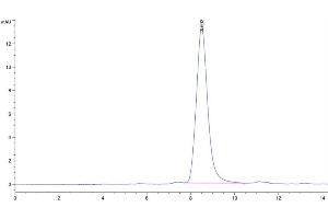 The purity of Human NOGOR is greater than 95 % as determined by SEC-HPLC.