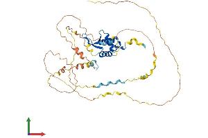 Protein Structure (PS) image for Forkhead Box B2 (FOXB2) (AA 1-428) protein (His tag) (ABIN7557858)