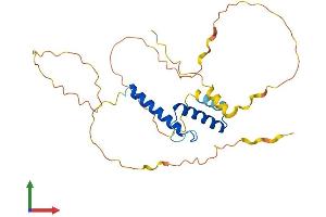 AlphaFold protein structure predicition of Human Recombinant MESP1 Protein, UniprotID Q9BRJ9 (MESP1 Protein (AA 1-268) (His tag))
