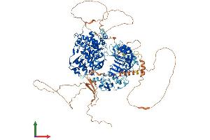 AlphaFold protein structure predicition of Human Recombinant KDM2A Protein, UniprotID Q9Y2K7 (KDM2A Protein (AA 1-1162) (His tag))