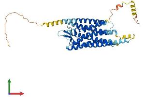 AlphaFold protein structure predicition of Human Recombinant NPSR1 Protein, UniprotID Q6W5P4 (NPSR1 Protein (AA 1-371) (His tag))