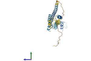 Protein Structure (PS) image for Gap Junction Protein, beta 3, 31kDa (GJB3) (AA 1-270) protein (His tag) (ABIN7563042)