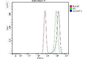 Flow Cytometry analysis of U87 cells using anti-Citrin/SLC25A13 antibody (ABIN7599512). (slc25a13 antibody  (AA 1-643))