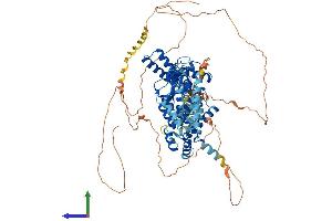 AlphaFold protein structure predicition of Mouse Recombinant Hcn2 Protein, UniprotID O88703 (HCN2 Protein (AA 1-863) (His tag))