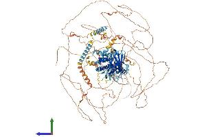 AlphaFold protein structure predicition of Human Recombinant SYDE2 Protein, UniprotID Q5VT97 (SYDE2 Protein (AA 1-1194) (His tag))