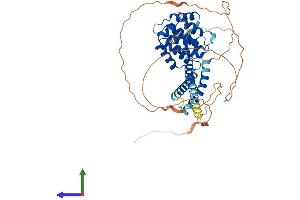 Protein Structure (PS) image for Target of Myb1 (Chicken)-Like 1 (TOM1L1) (AA 1-476) protein (His tag) (ABIN7544639)