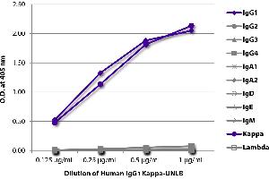 ELISA plate was coated with serially diluted Human IgG1 Kappa-UNLB and quantified. (Human IgG1 Isotype Control)