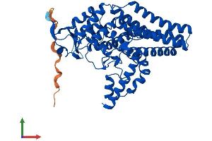 Protein Structure (PS) image for Fatty Acid Desaturase 3 (FADS3) (AA 1-449) protein (His tag) (ABIN7561584)