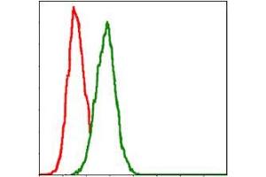 Flow cytometric analysis of Hela cells using GSTM1 mouse mAb (green) and negative control (red). (GSTM1 antibody)