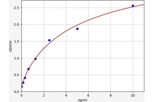 MMP28 ELISA Kit