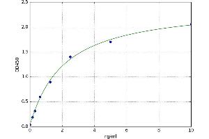 L-Lactate Dehydrogenase (LDH) ELISA Kit