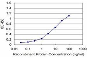 Detection limit for recombinant GST tagged NR4A3 is approximately 0. (NR4A3 antibody  (AA 414-521))