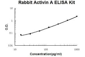 Rabbit Activin A PicoKine ELISA Kit standard curve