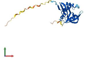 Protein Structure (PS) image for Aralkylamine N-Acetyltransferase (AANAT) (AA 1-207) protein (His tag) (ABIN7546182)