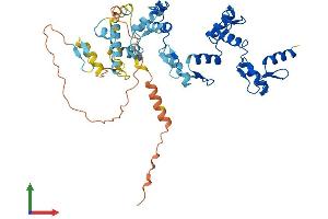 AlphaFold protein structure predicition of Human Recombinant ZNF829 Protein, UniprotID Q3KNS6